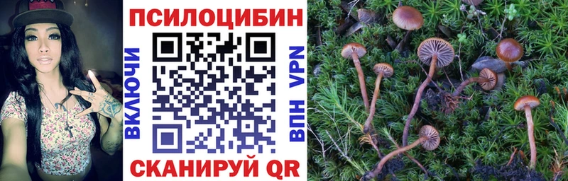 Галлюциногенные грибы прущие грибы  omg ссылки  Туапсе 