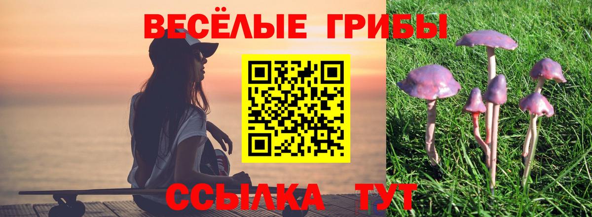 Псилоцибиновые грибы Psilocybine cubensis Туапсе